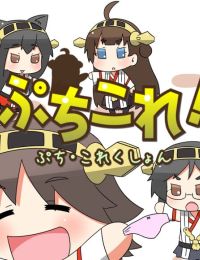 Puchi Collection!