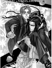 Love Snatcher