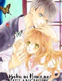 Boku ni Hana no Melancholy