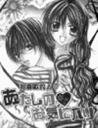 Atashi No Okiniiri