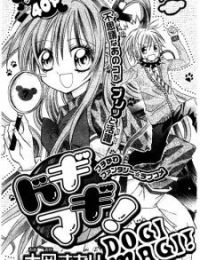 Dogi Magi