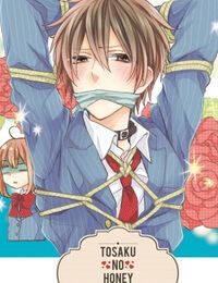 Tosaku no Honey