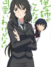 Infinite Stratos Doujinshi- My Older Sister can’t be this overprotective