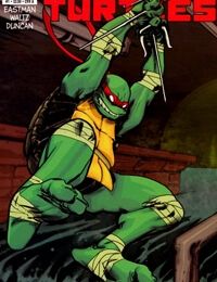 Teenage Mutant Ninja Turtles (TMNT)