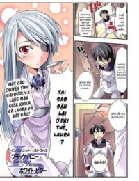 Infinite Stratos: Black Bunny-white Bitter