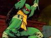 Teenage Mutant Ninja Turtles (TMNT)