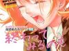 Owatte miru no mo Warukunai