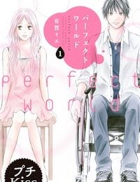 Perfect World (ARUGA Rie)