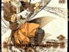 Chouritsu Houmuru Zyklus:code