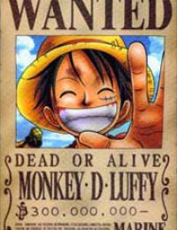 Wanted!