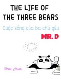 The life of the three bears