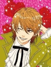 Tokimeki gakuen oujigumi