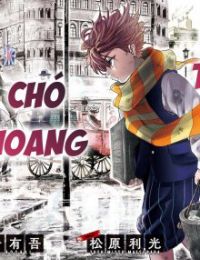 Đội thám tử chó hoang và đèn dầu