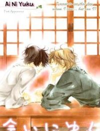 Ai ni Yuku
