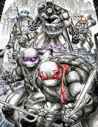 Batman – Ninja Rùa