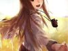Spice and wolf Doujinshi Harvest I
