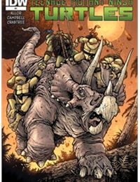 Teenage Mutant Ninja Heroes: Turtles In Time